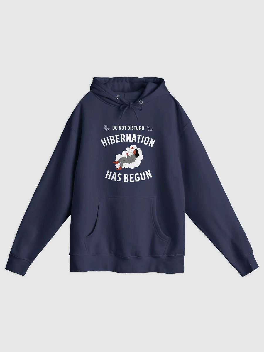 Do Not Disturb: Hibernation Has Begun Hoodie product image (1)