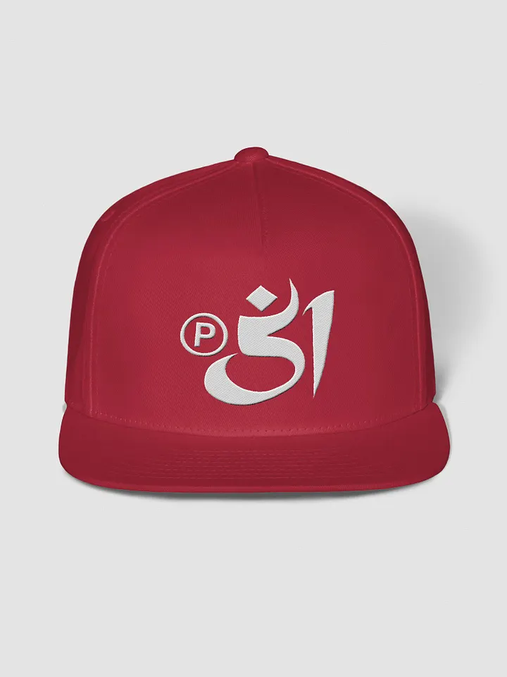 p51 snapback product image (2)