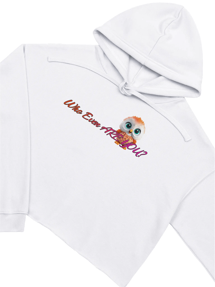 Mystery Babe Crop Hoodie product image (1)