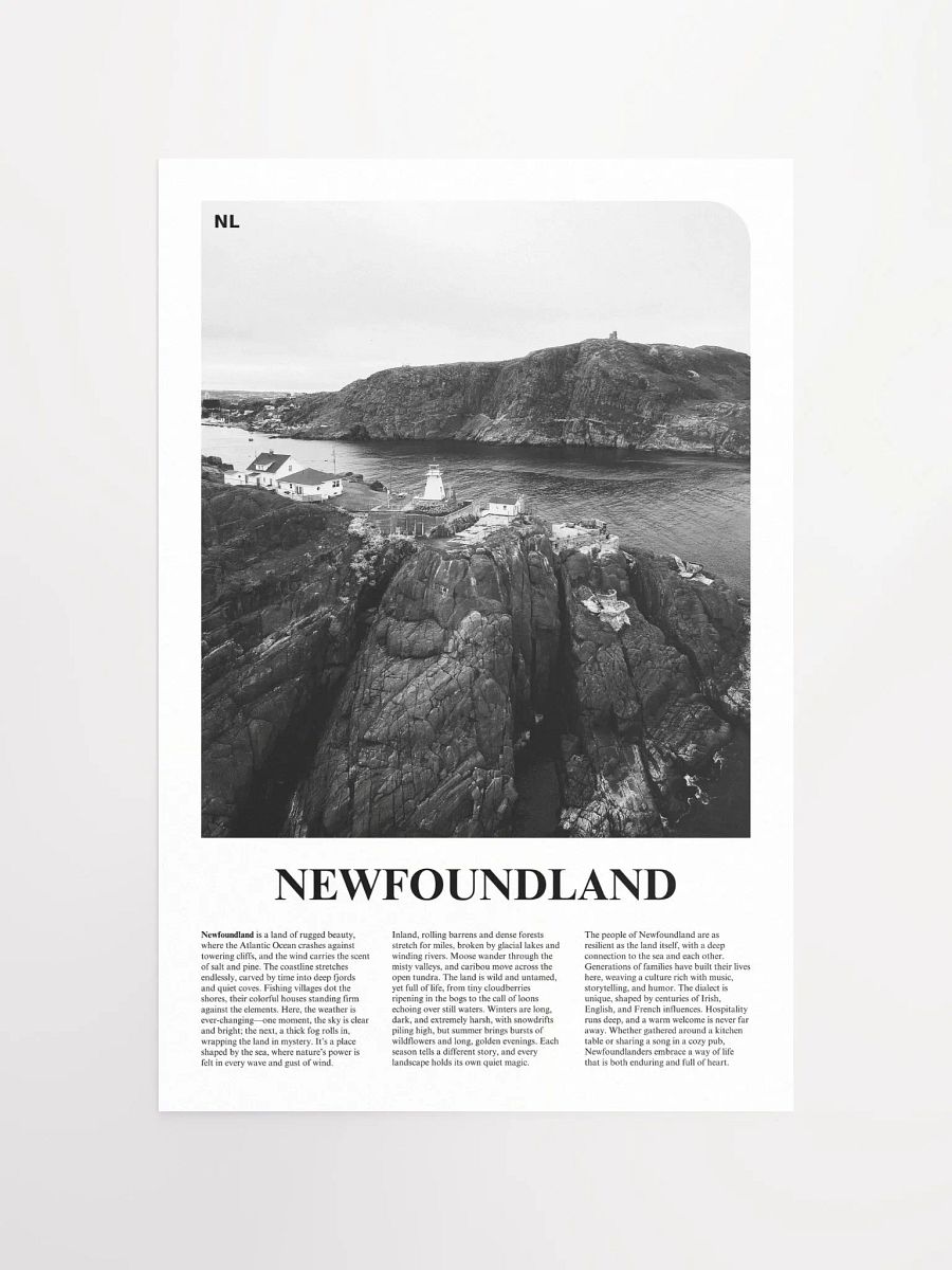 Newfoundland 01 Newspaper Poster product image (5)