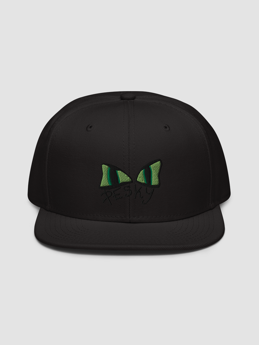 [TEAMEMBERS] Snapback - Otto Cap 125-978 product image (2)
