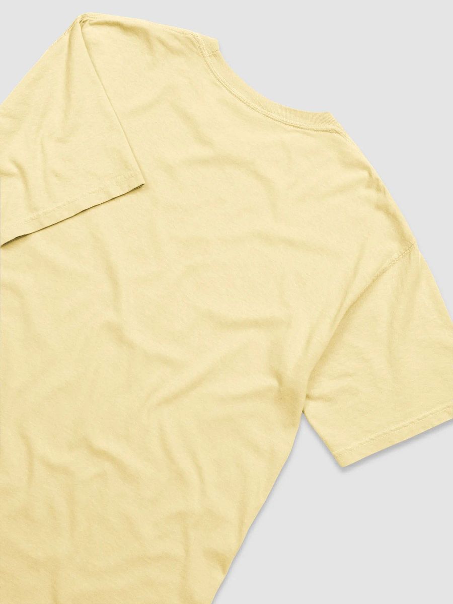 $FREE.99 Heavyweight T-Shirt product image (4)