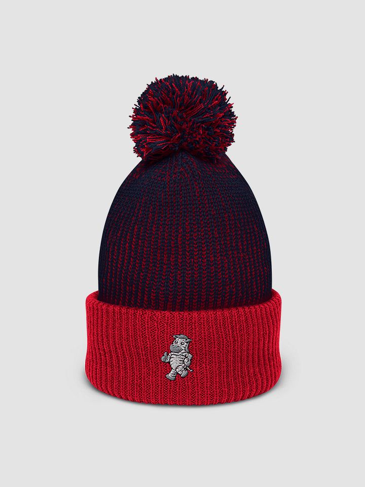 Lloyd Pom-Pom Beanie product image (1)