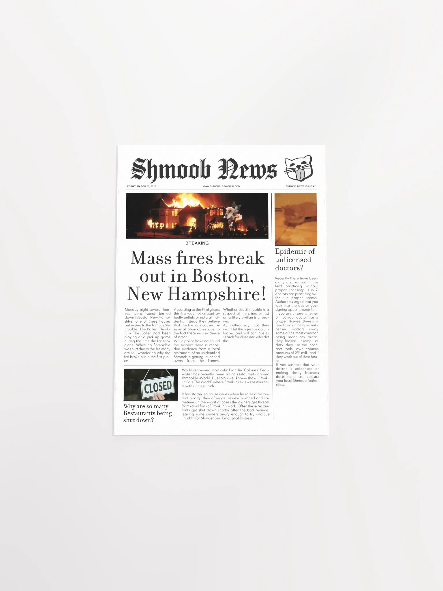 Shmoob News Issue #2 product image (4)