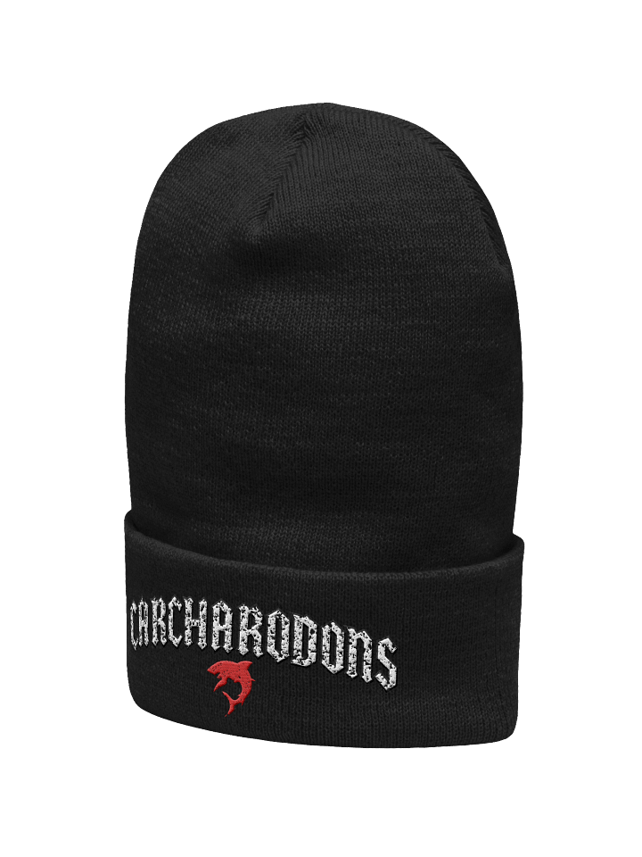 RED WAKE TOUR DELUXE EMBROIDERED BEANIE product image (2)