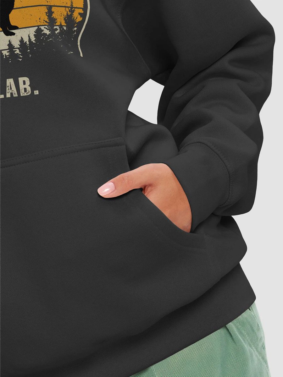 First Dog, Best Dog Lab Hoodie product image (8)