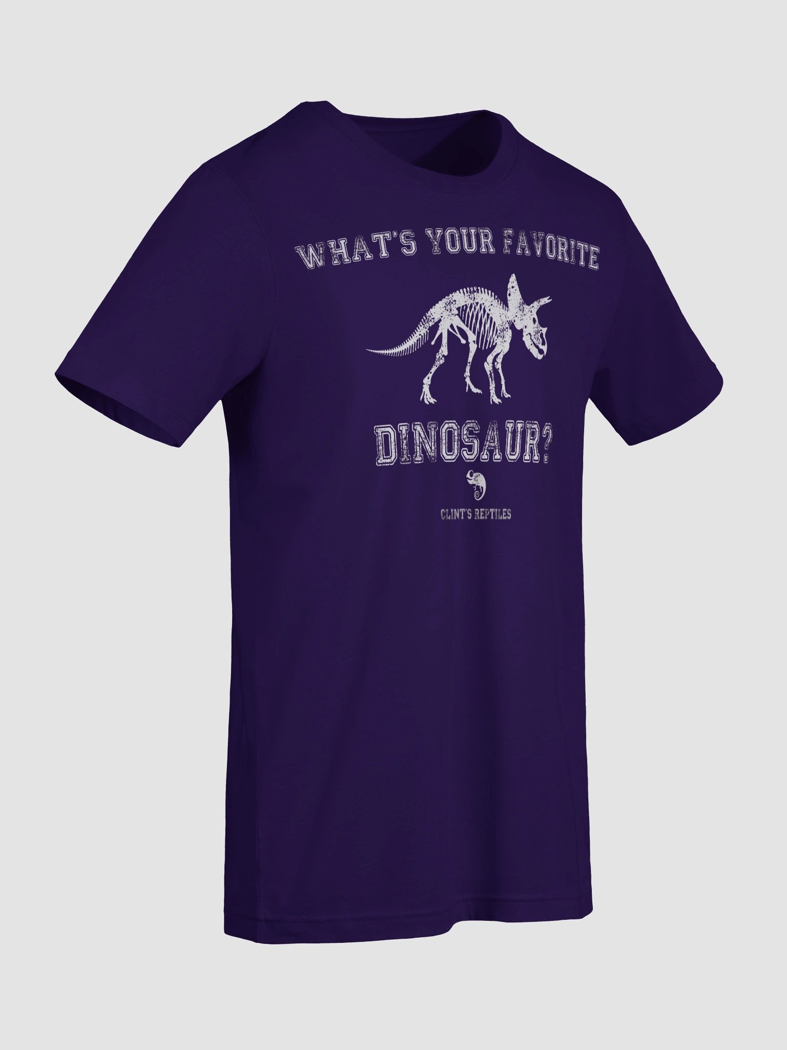 What's Your Favorite Dinosaur? Triceratops Shirt product image (89)