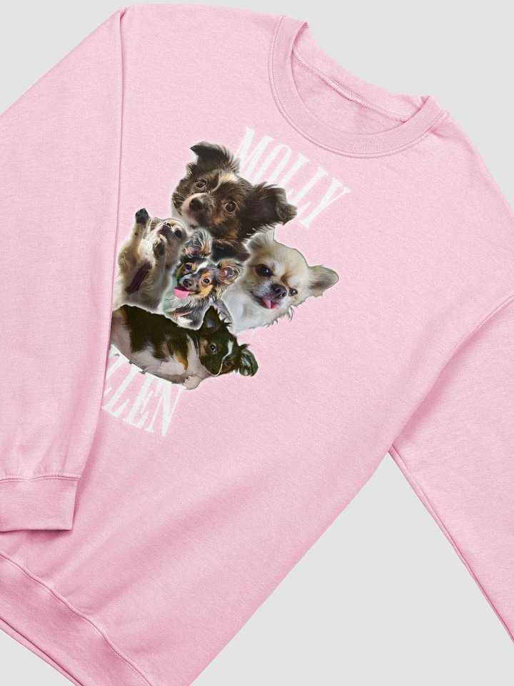 lillios molly sweatshirt product image (6)