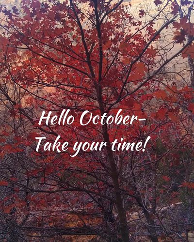 Hello October! Let’s slow down and enjoy the Fall season!  #fallvibes #gratitude #Hello #SoCal #mood #allthefallthings