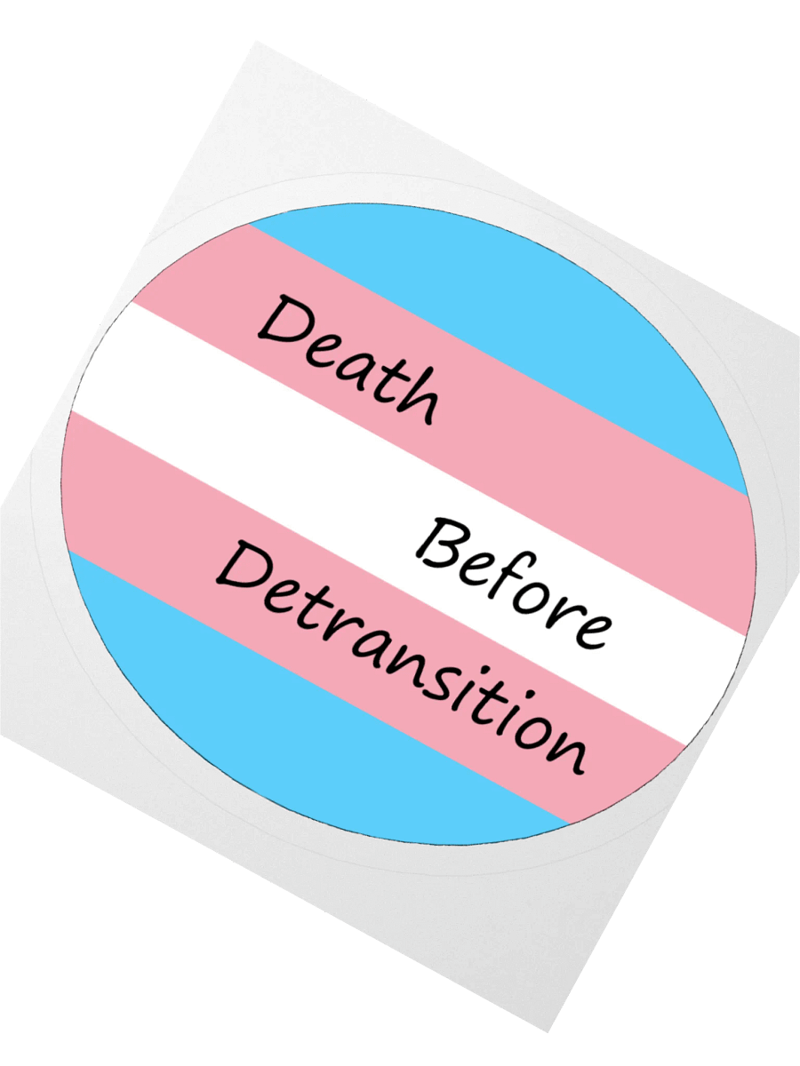 Death Before Detransition Sticker product image (5)