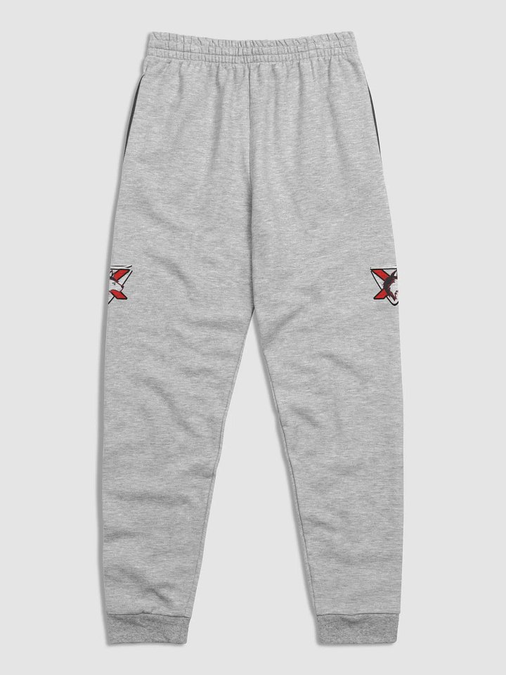 AlphaXSynergy Jerzees Unisex Joggers Right & Left Logo product image (6)