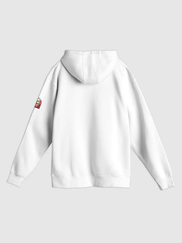 Arches National Park unisex premium pullover hoodie product image (2)