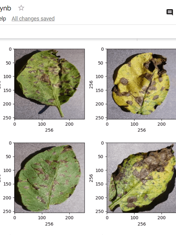 Plant leaf Disease detection Final Year Project with Streamlit App product image (2)