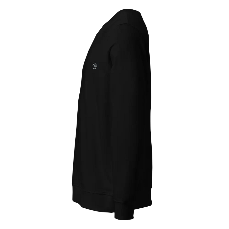 VACIO ICON Sweatshirt (Grey) product image (3)