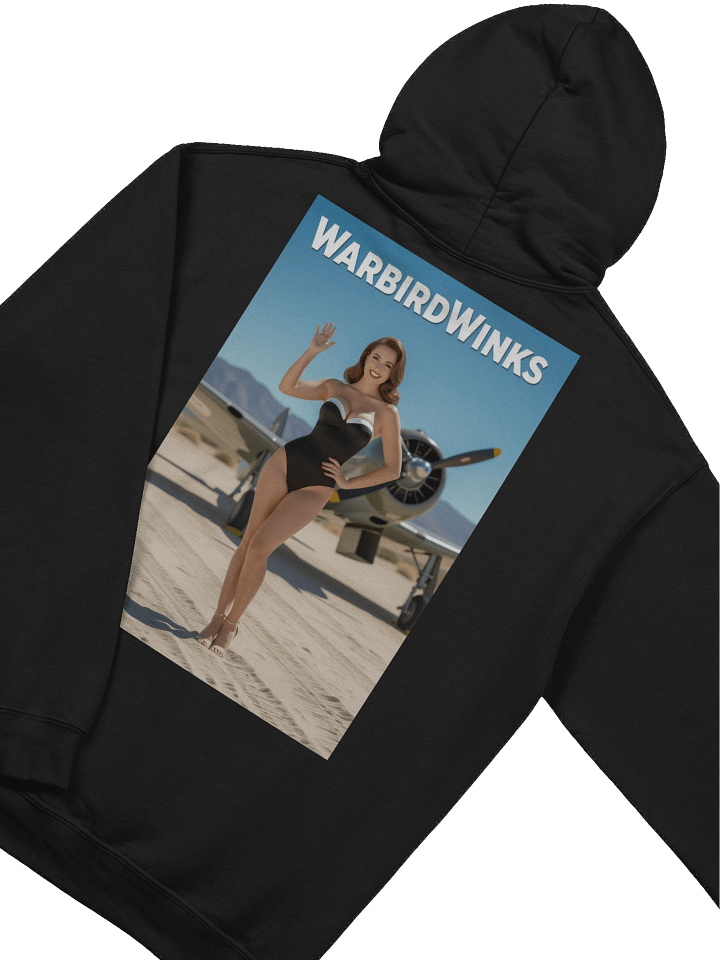 Classic Hoodie: A6 product image (1)