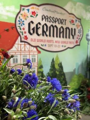 PSA: @Central Market will host Passport Germany September 10-23! Over 143 German brands have been imported for this event, many of which have NEVER been imported to the US before. 😍 🍰: Germany knows its Kuchen! Treat yourself to all sorts of German pastries. My personal favorite is the Bienenstich, Oder “bee sting cake.” It’s phenomenal!  🍺: Find all sorts of German beer, which pair perfectly with a variety of German sausages.  🍩: Pickup one of my favorite German treats: Berliners! (Try the Nutella stuffed one!)  🍷:  Germany is known for its Riesling & Gewürtztraminer but have you tried German Pinot noir? 💃🏻 You’ll find all sorts of exciting bottles in the wine section.  🧀: Enjoy a variety of German cold cuts and cheeses. Highly recommend the Alp Blossom cheese!  🥨: Don’t forget an authentic German pretzel! 🍫: Stock up one of my favorite things on the planet: German chocolate 😍 🎃Kürbisfest: get into the fall spirit with an in-store pumpkin festival and gourd-geous displays! There are tons of daily tastings and events happening in store during #passportgermany. Learn more on my website - link in bio - and get a preview on my YouTube video! 🌹🇩🇪  #reallyintofood #centralmarketpassport #fyp 