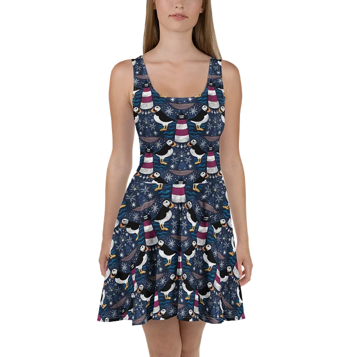 Folk Puffins Coastal Christmas Skater Dress | Monique Faella Designs™ product image (2)