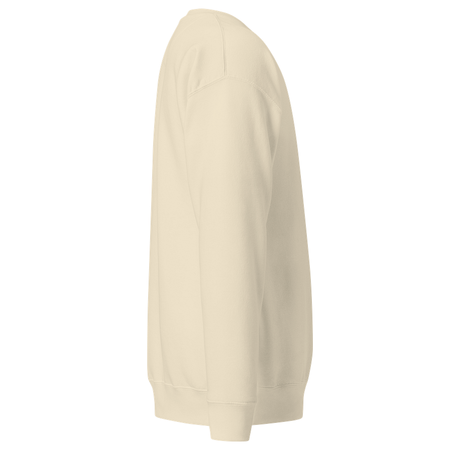 Set Apart & Rooted Embroidered Branded Sweatshirt product image (4)
