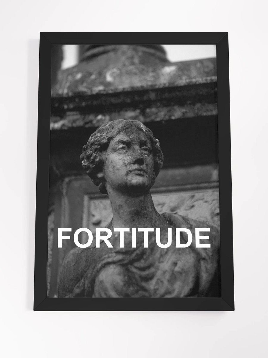 Framed Fortitude Photograph product image (4)