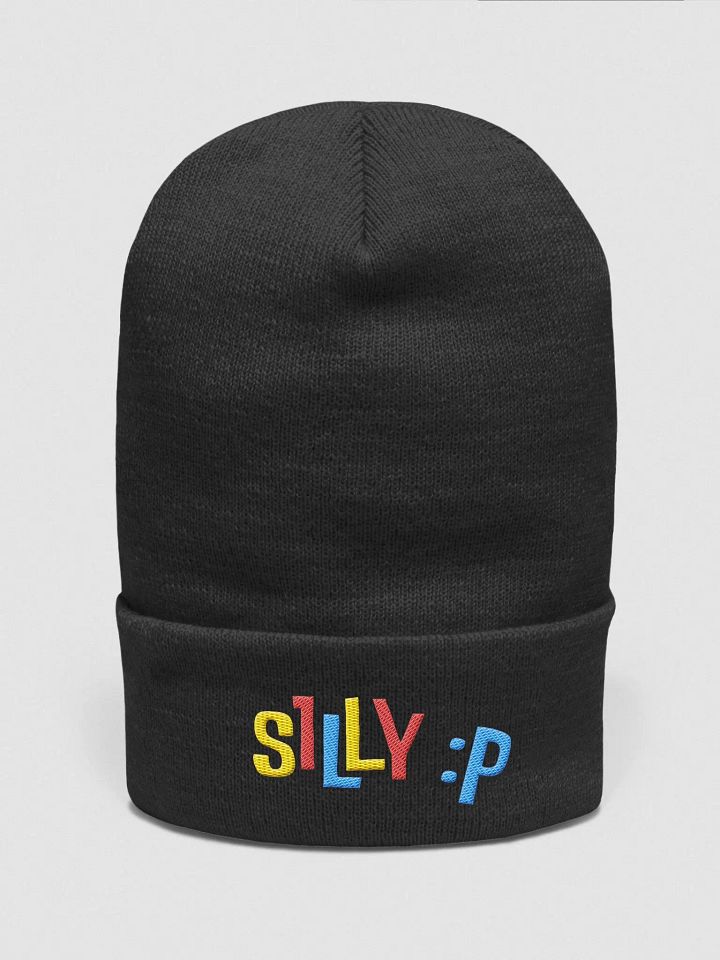SILLY LITTLE BEANIE product image (1)