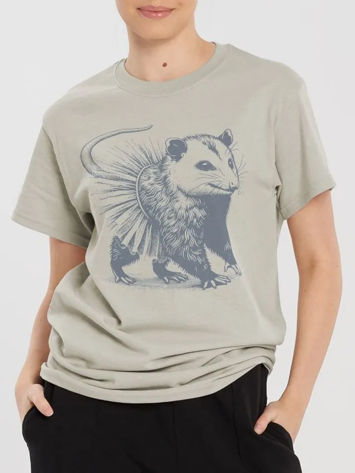 Opossum In Tutu Streetwear Tee product image (2)