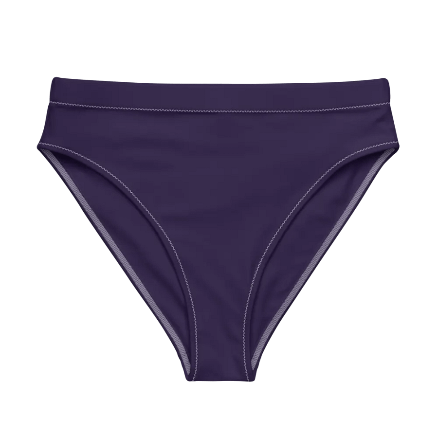 Queen Sheeba Bikini Bottom product image (9)