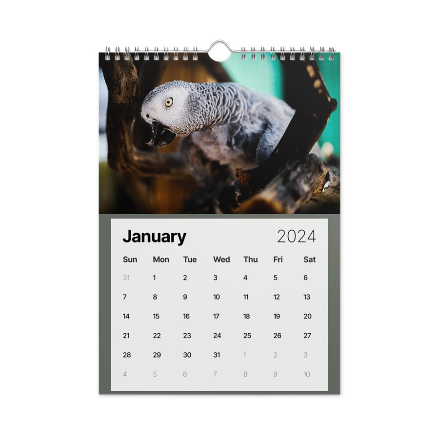 Alveus 2024 Calendar product image (10)
