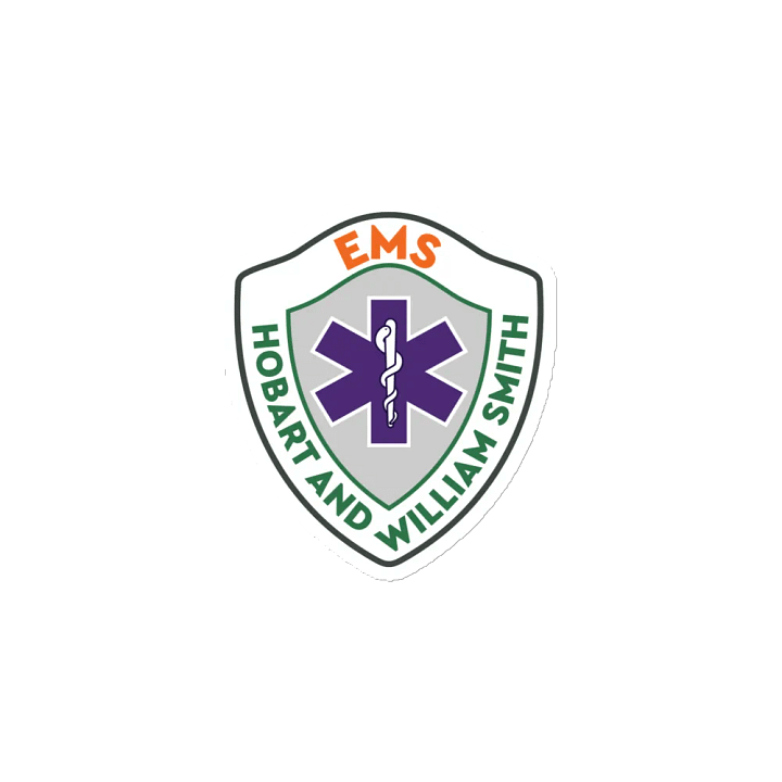 HWS EMS Magnets product image (2)