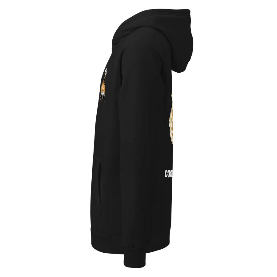 EXPENSIVE AHHOODIE product image (8)