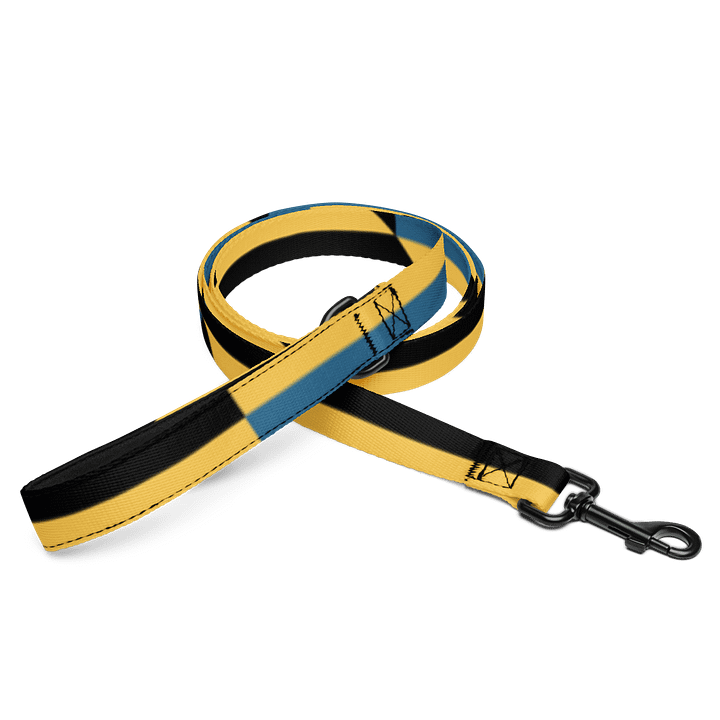 Lucky Dog Bold Stripes Pet Leash #004 product image (1)
