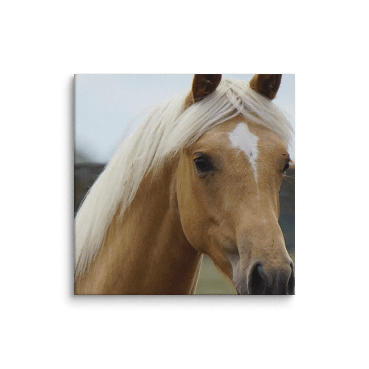 Horse Canvas product image (2)