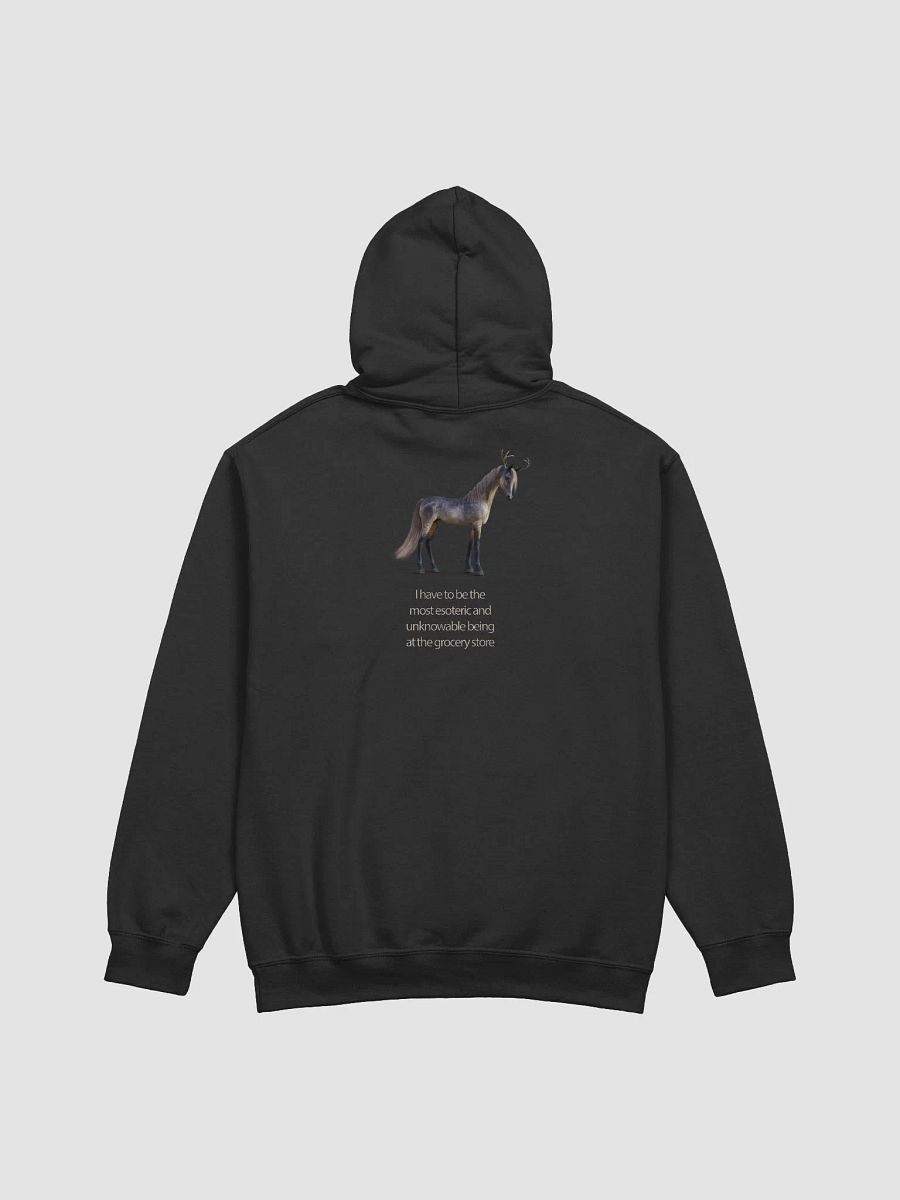'I Have To Be The Most Esoteric Being...' Hoodie product image (1)