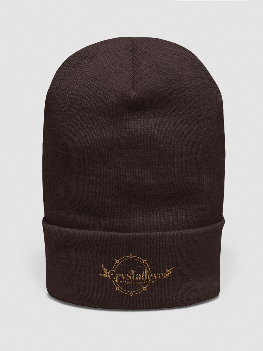 Logo Beanie product image (1)