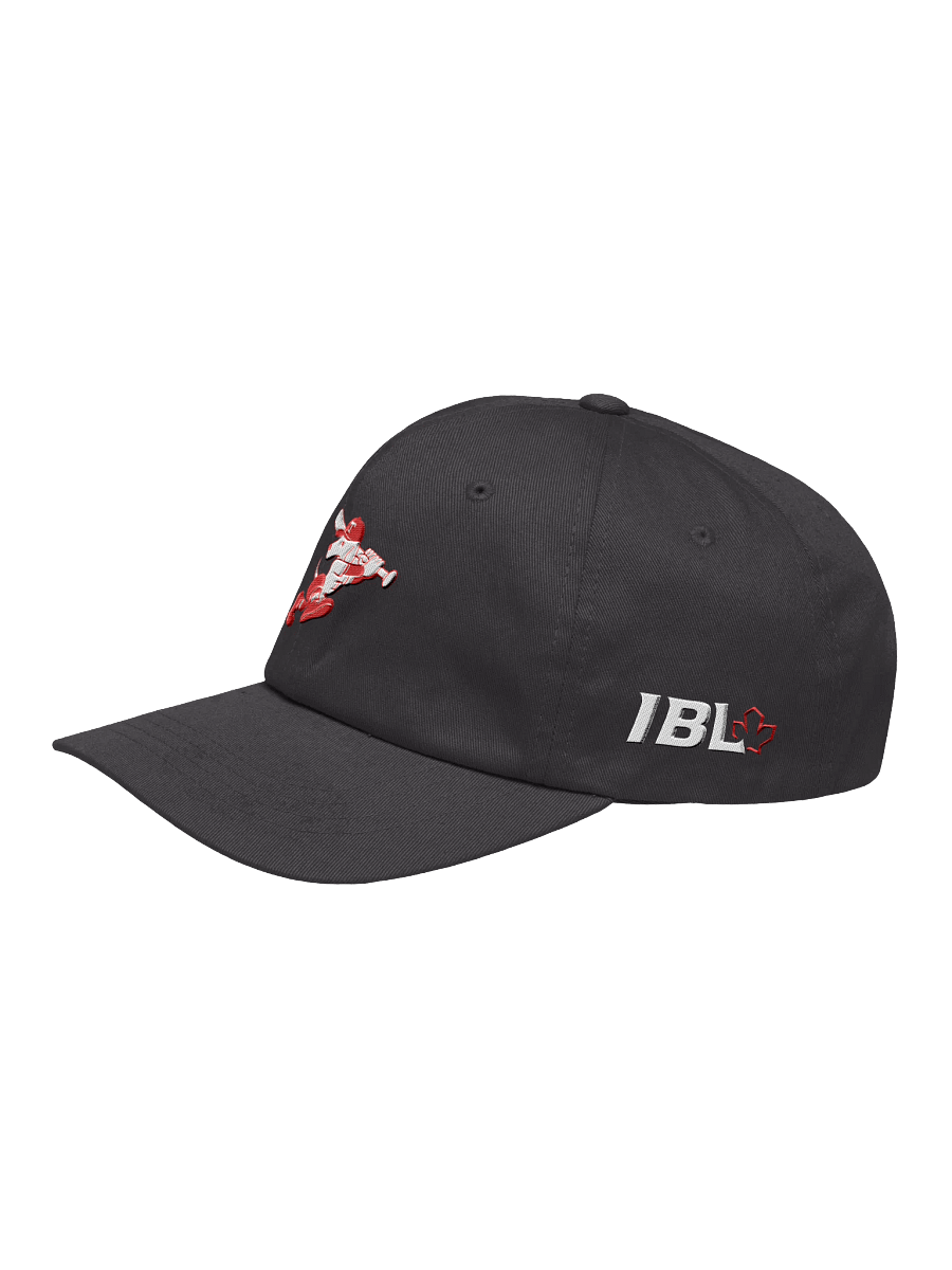 Galt Terriers Dad Hat product image (12)