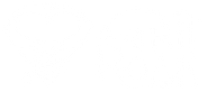 Grit Rook - Shop