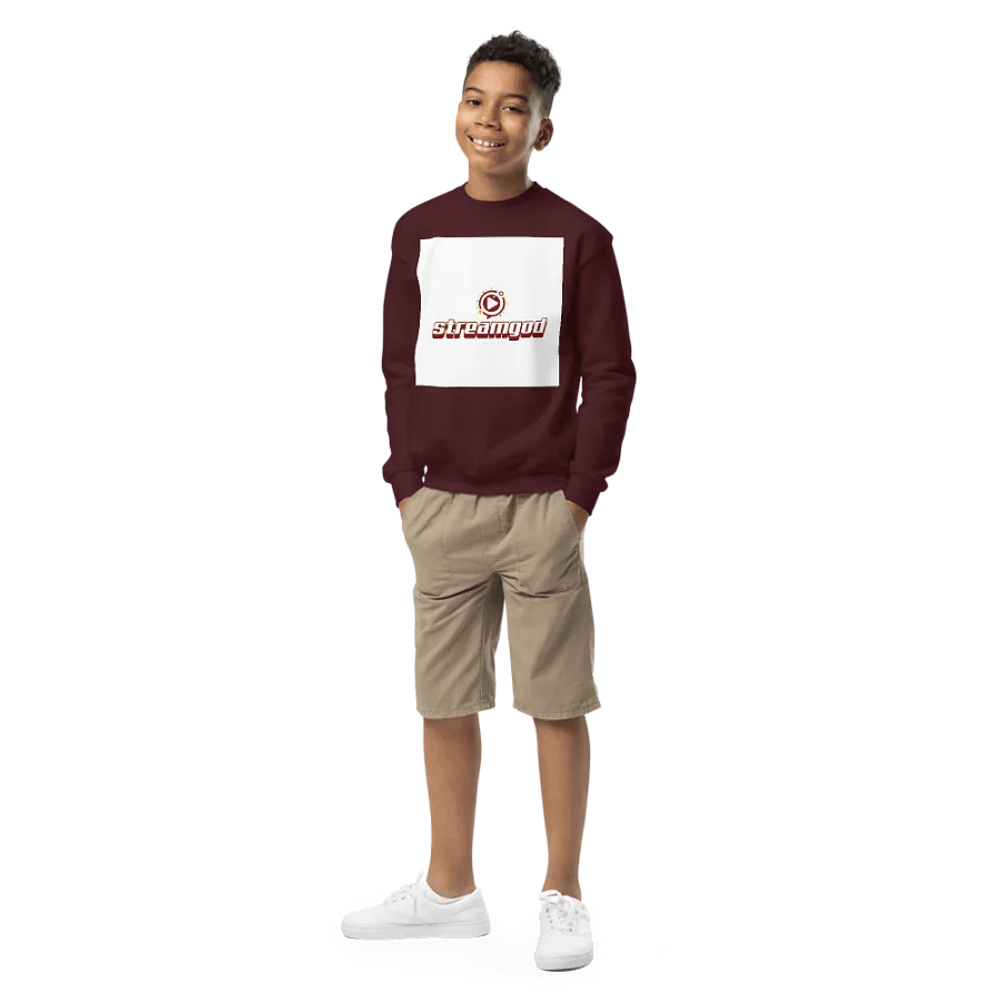 maroon youth STREAMGOD sweater product image (1)