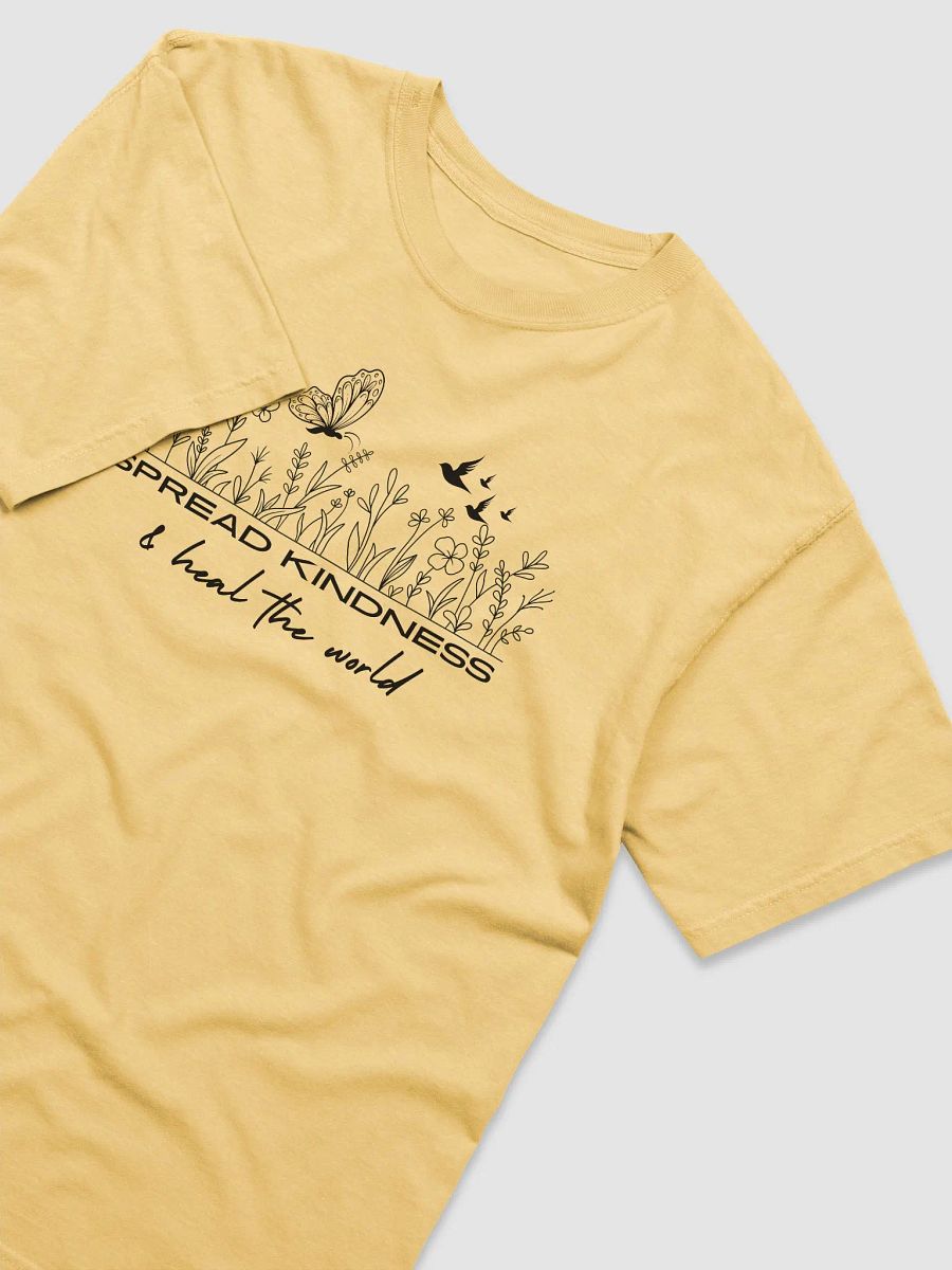 Spread Kindness a Comfort Colors Tee product image (15)