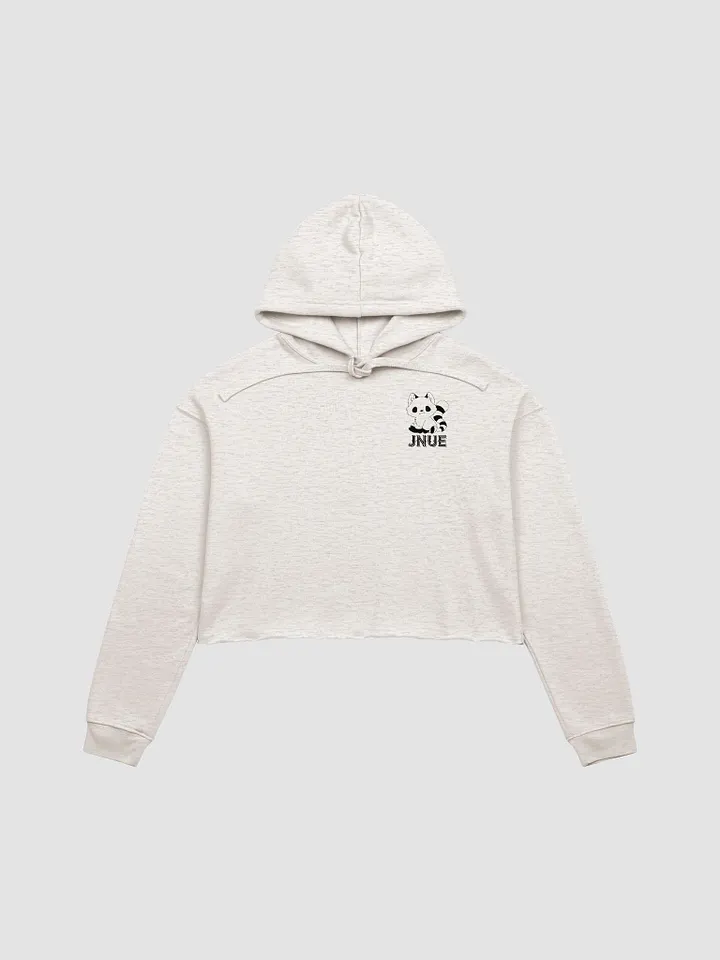 Bright Crop Top Hoodie product image (1)