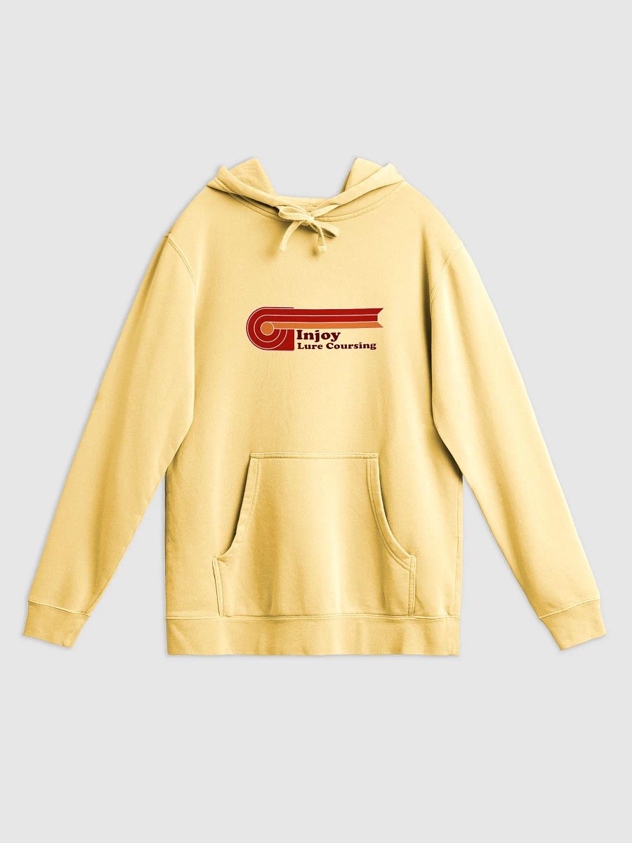 Injoy Lure Coursing Vintage Hoodie product image (5)