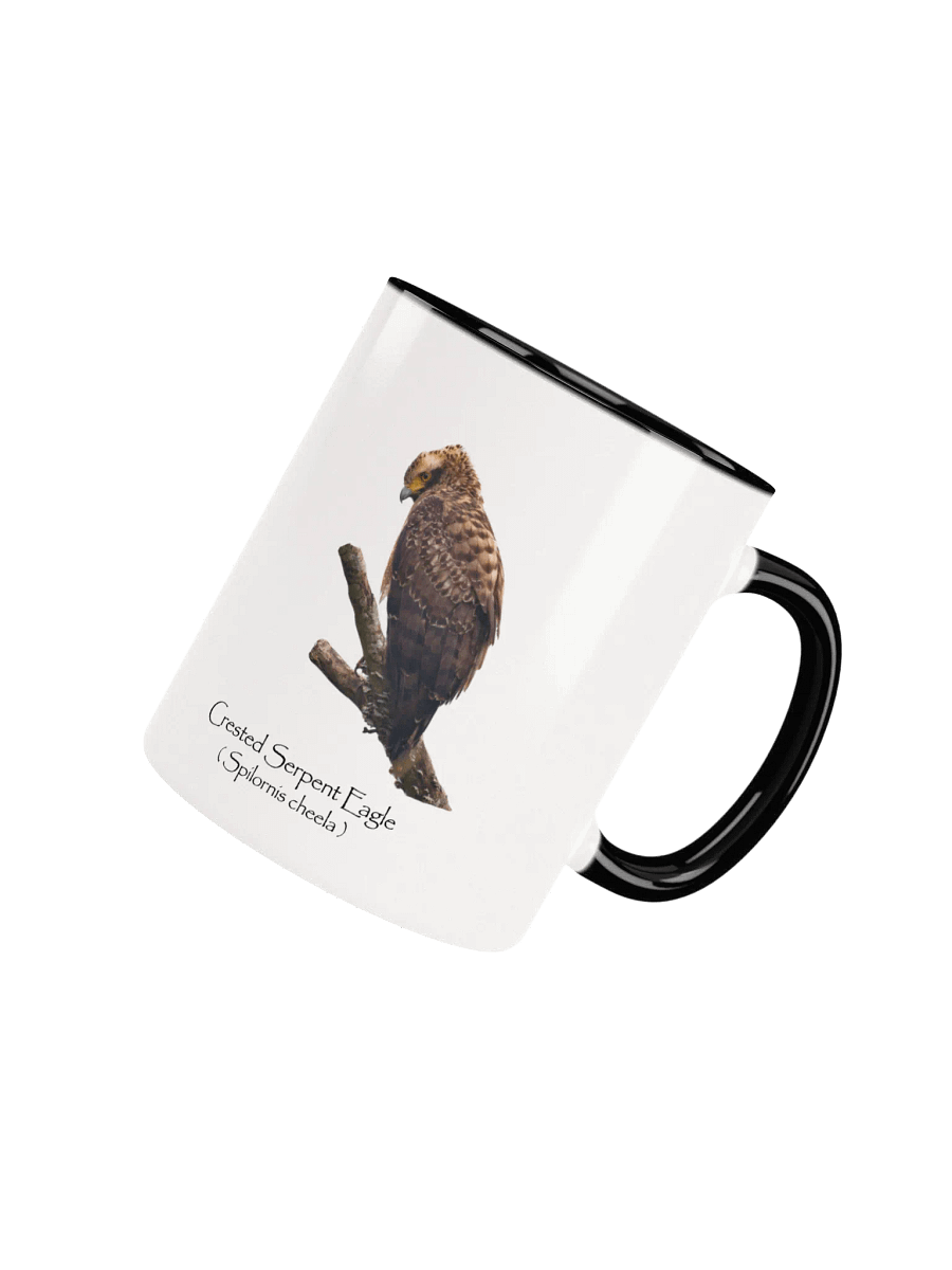 Crested Serpent Eagle mug product image (34)