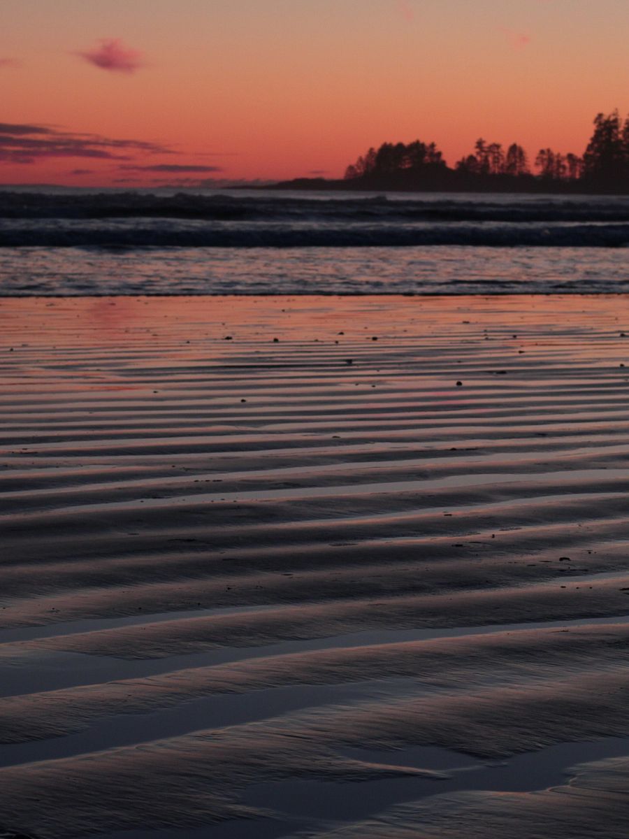 Wild Pacific Light product image (11)