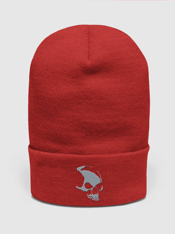 Armada Skull Cuffed Beanie product image (2)