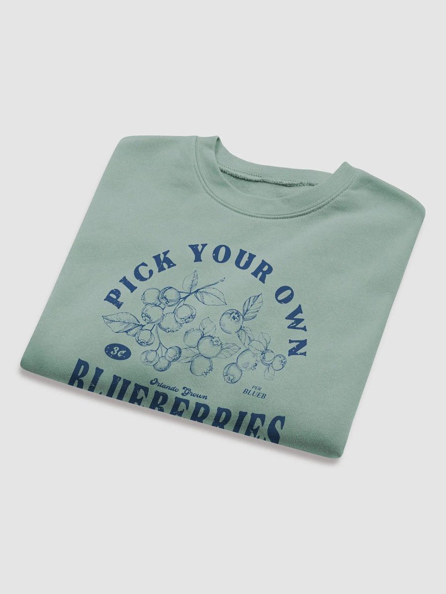 PYOB (Blue) Cropped Hoodie product image (5)
