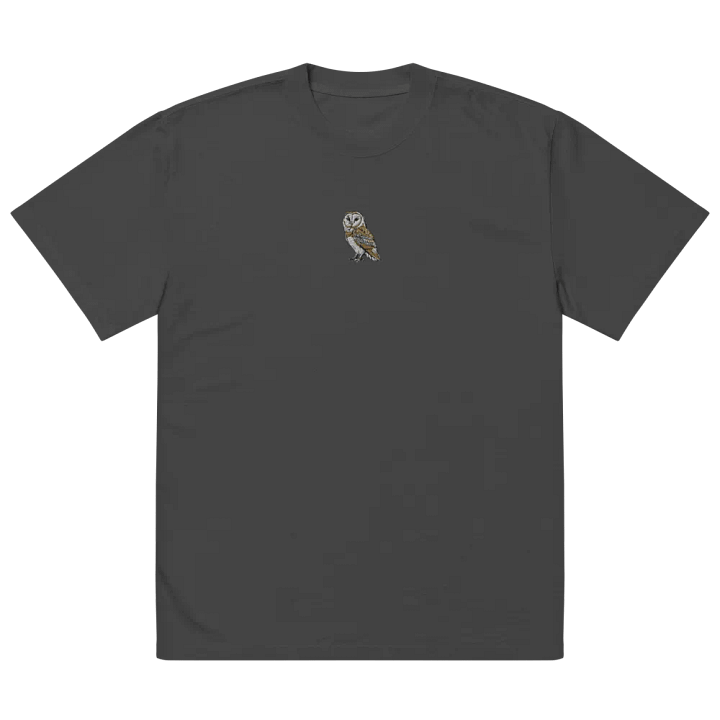 Barn Owl Dreams Embroidered Faded T-Shirt product image (2)
