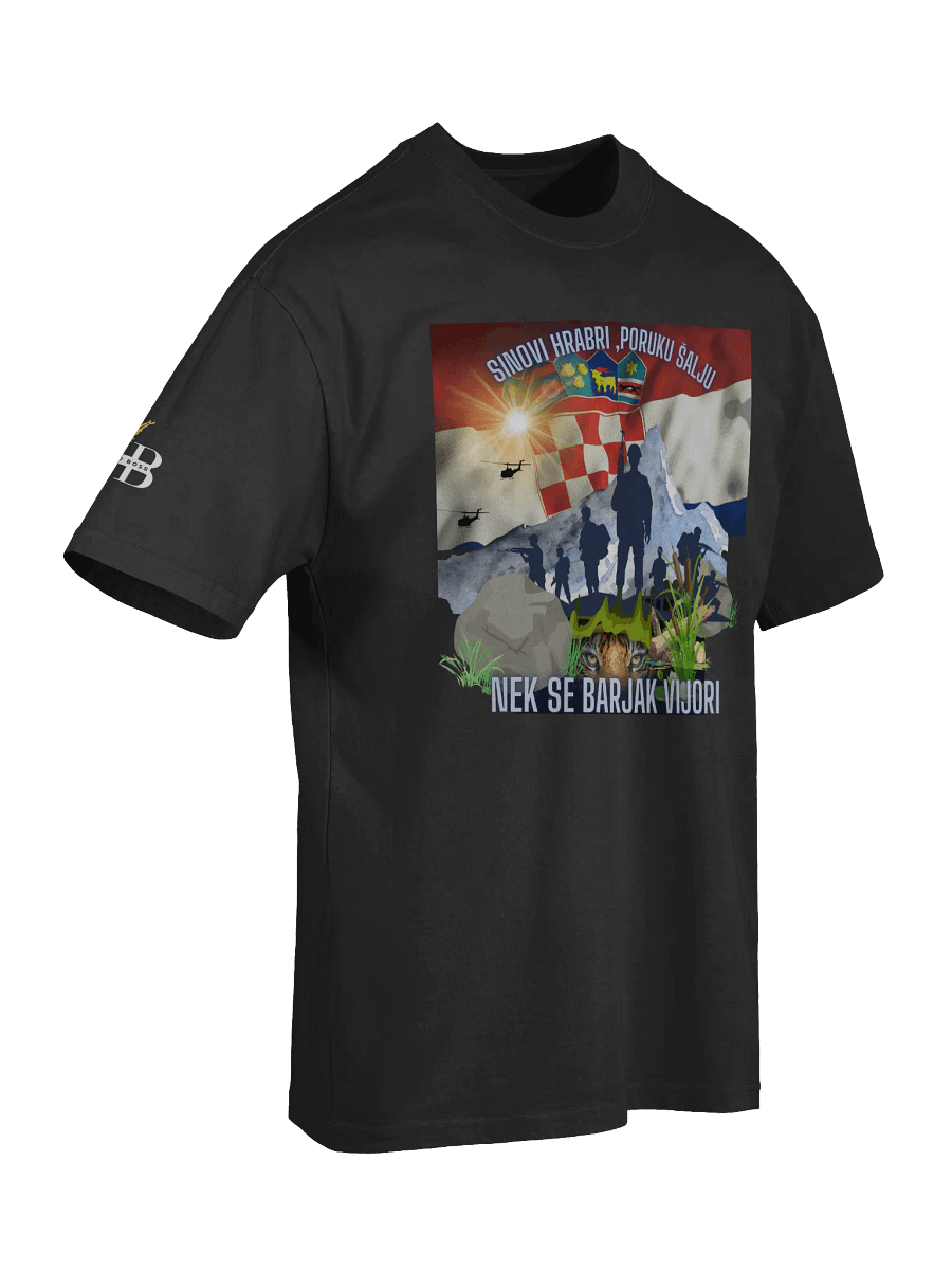 Crowned PNB Oversized Faded T-Shirt Tigrovi Oluja95 product image (7)