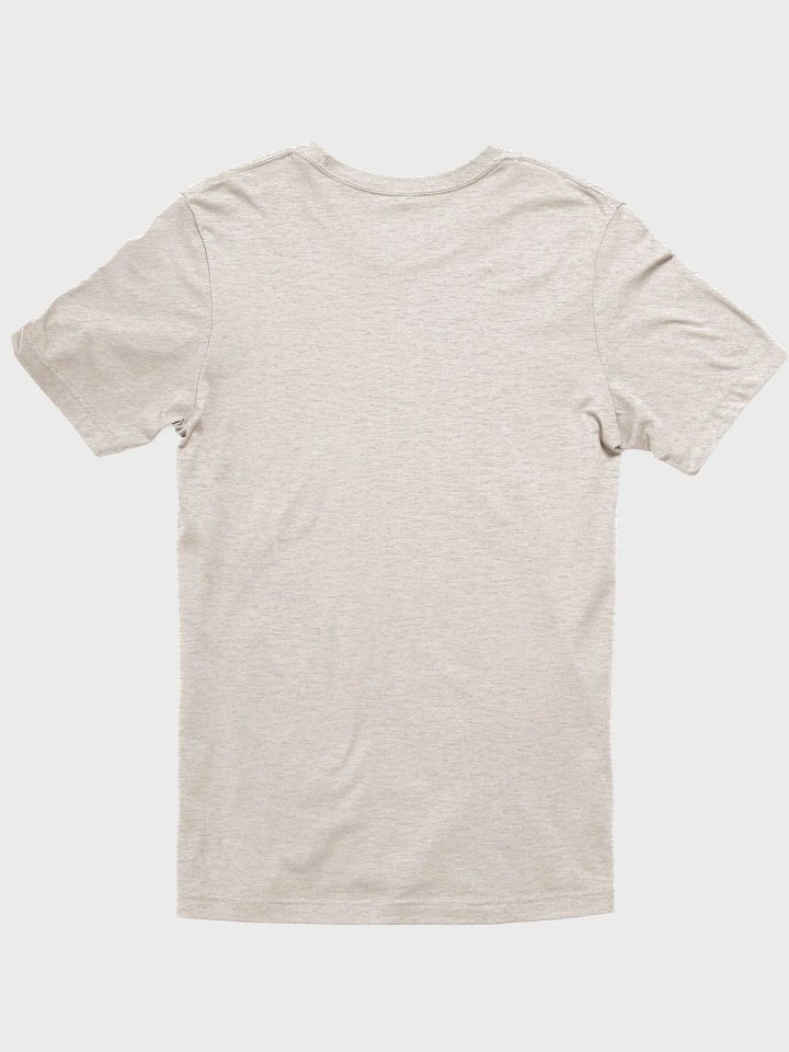 Reminders (Bella+Canvas Supersoft T-Shirt) product image (58)
