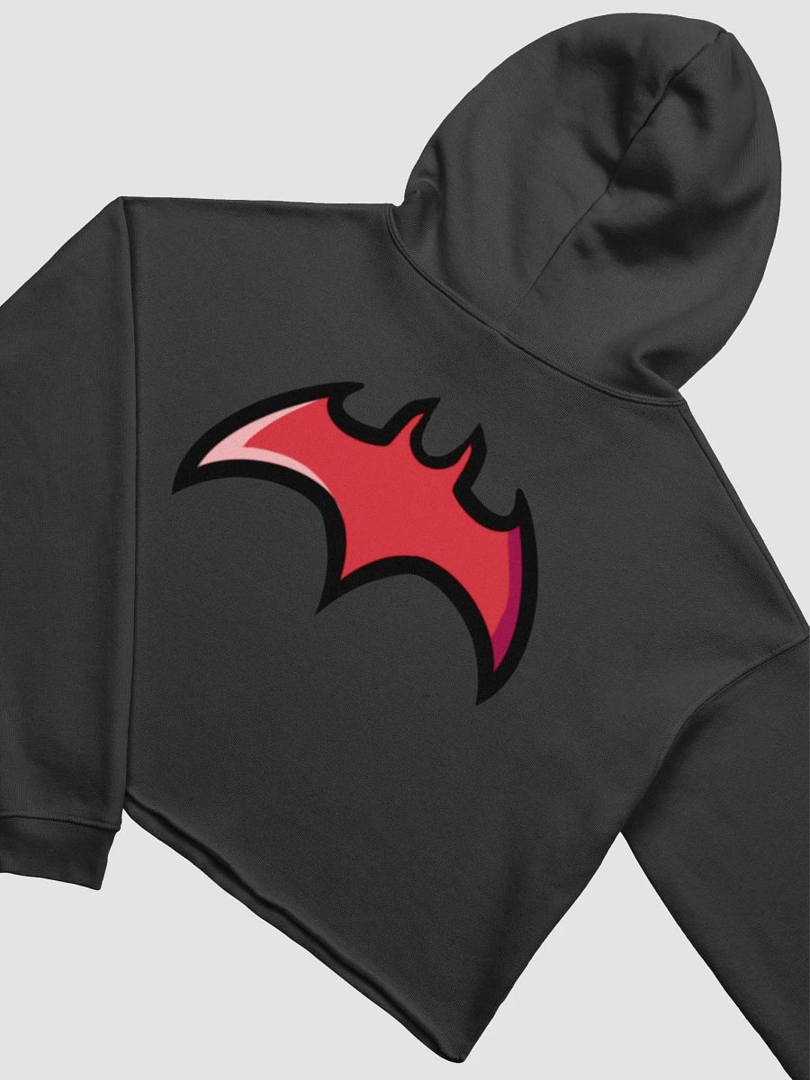 Terms of Service Cropped Hoodie product image (4)
