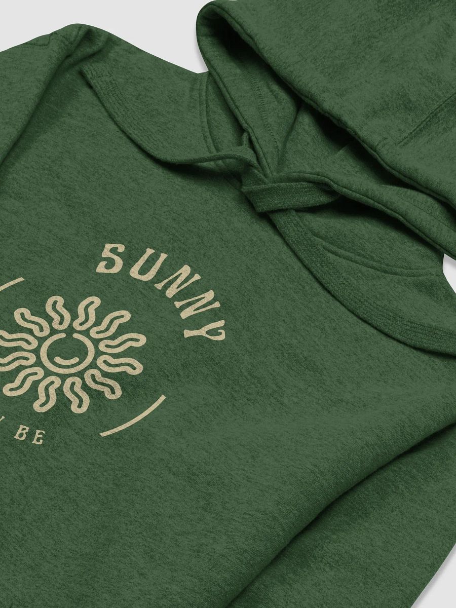 Sunny as can be plush hoodie product image (42)