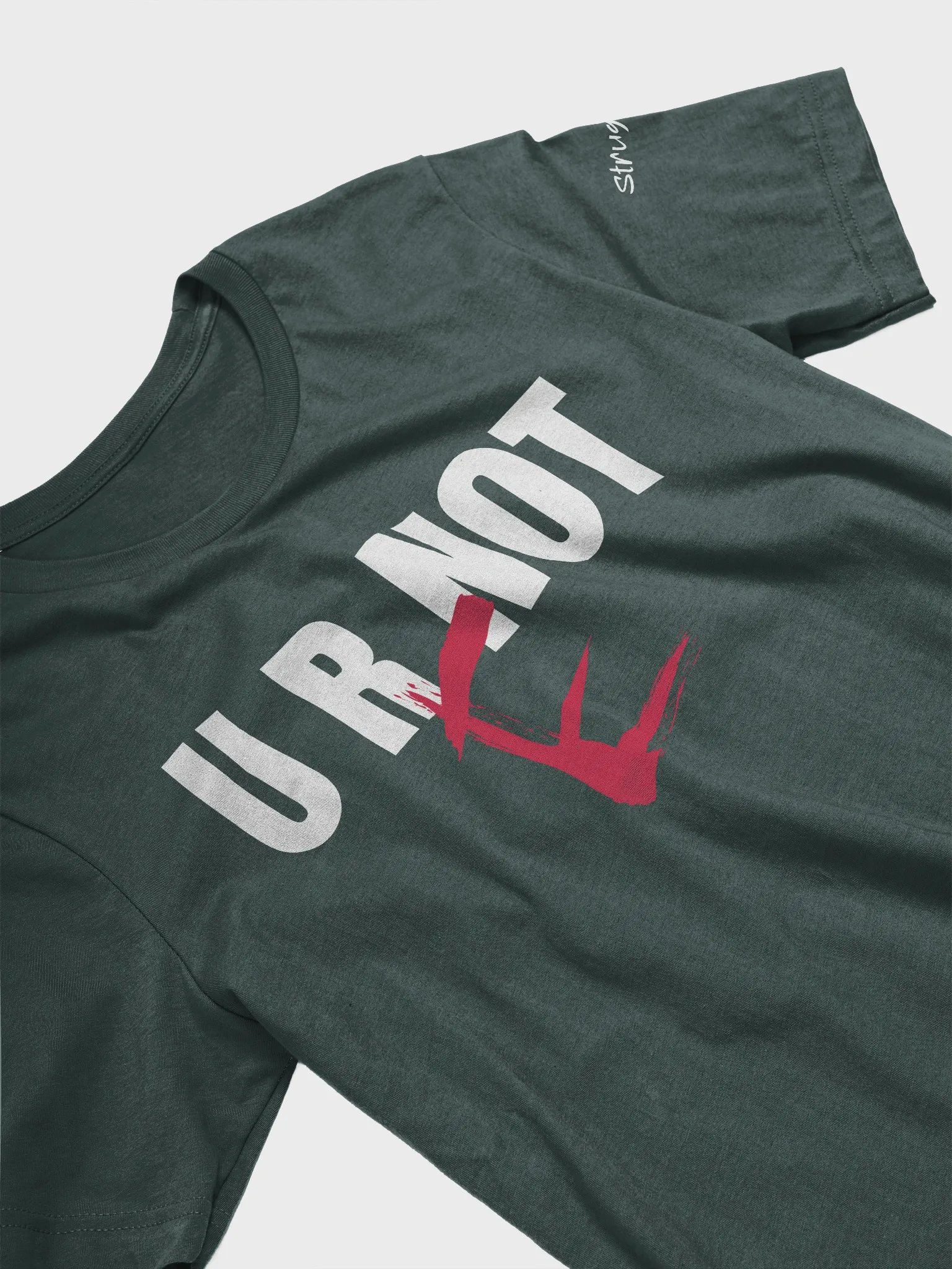 You Are Not Ready product image (2)