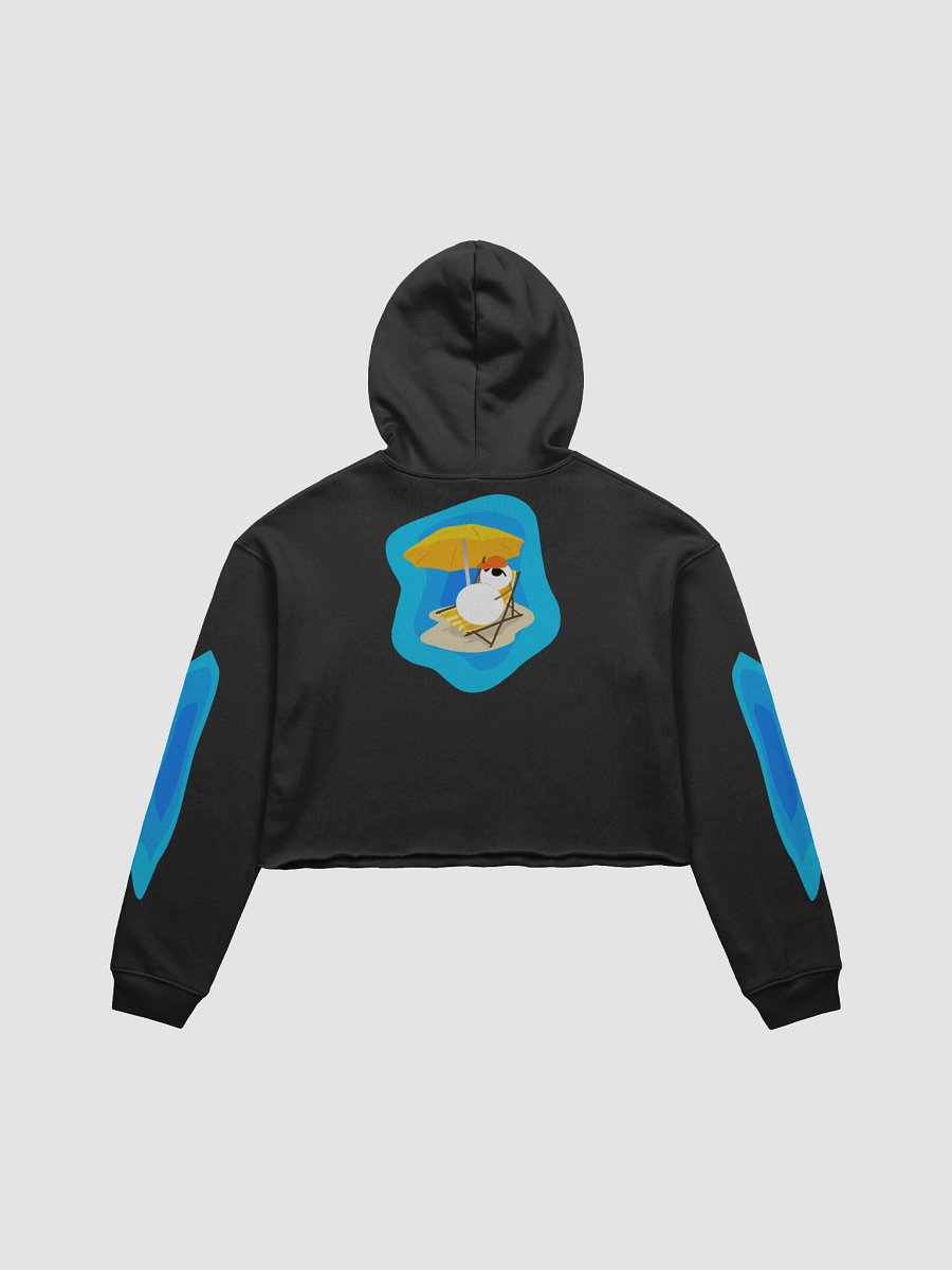 Frosty Relax Cropped Hoodie product image (2)